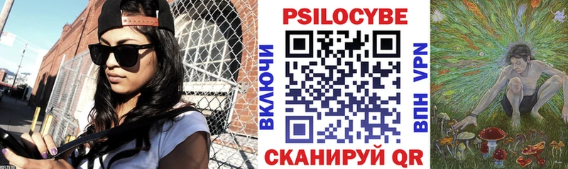 Псилоцибиновые грибы мухоморы  ОМГ ОМГ маркетплейс  сайты даркнета официальный сайт  где можно купить наркотик  Тверь 