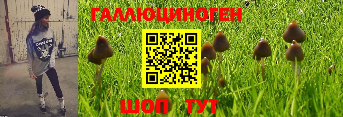 Тверь  Галлюциногенные грибы мухоморы  Вход с VPN 